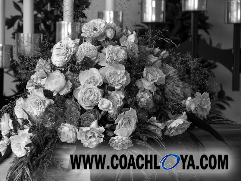 In Lieu of Flowers