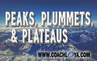 Peaks, Plummets, and Plateaus