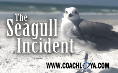 The Seagull Incident